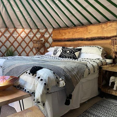 ホテルO Dan Y Coed Luxury Yurt With Hot Tub Chwilog エクステリア 写真